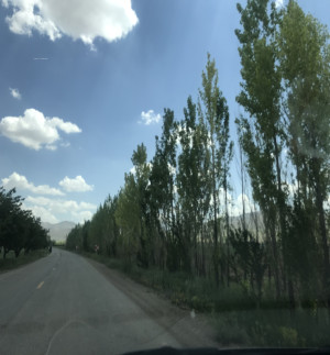 مسیر روستای ویر به شاه بلاغی