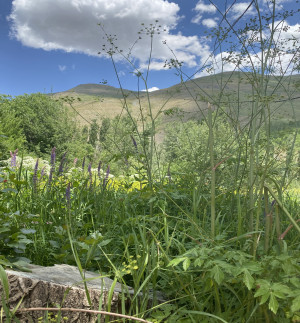 کوشکک جاده چالوس