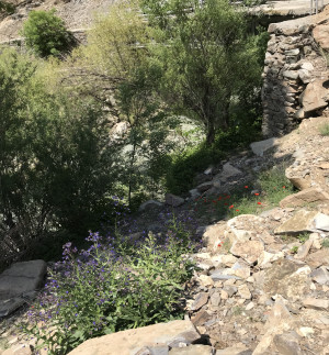 خوارس یکی از روستاهای جاده چالوس